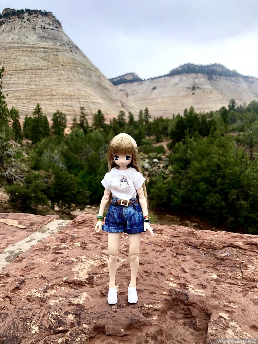 Путешествие азонок в США — Куклы Azone (Азон) и тела Pure Neemo: фото