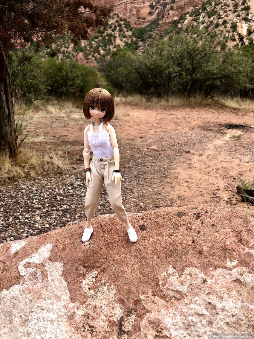 Путешествие азонок в США — Куклы Azone (Азон) и тела Pure Neemo: фото