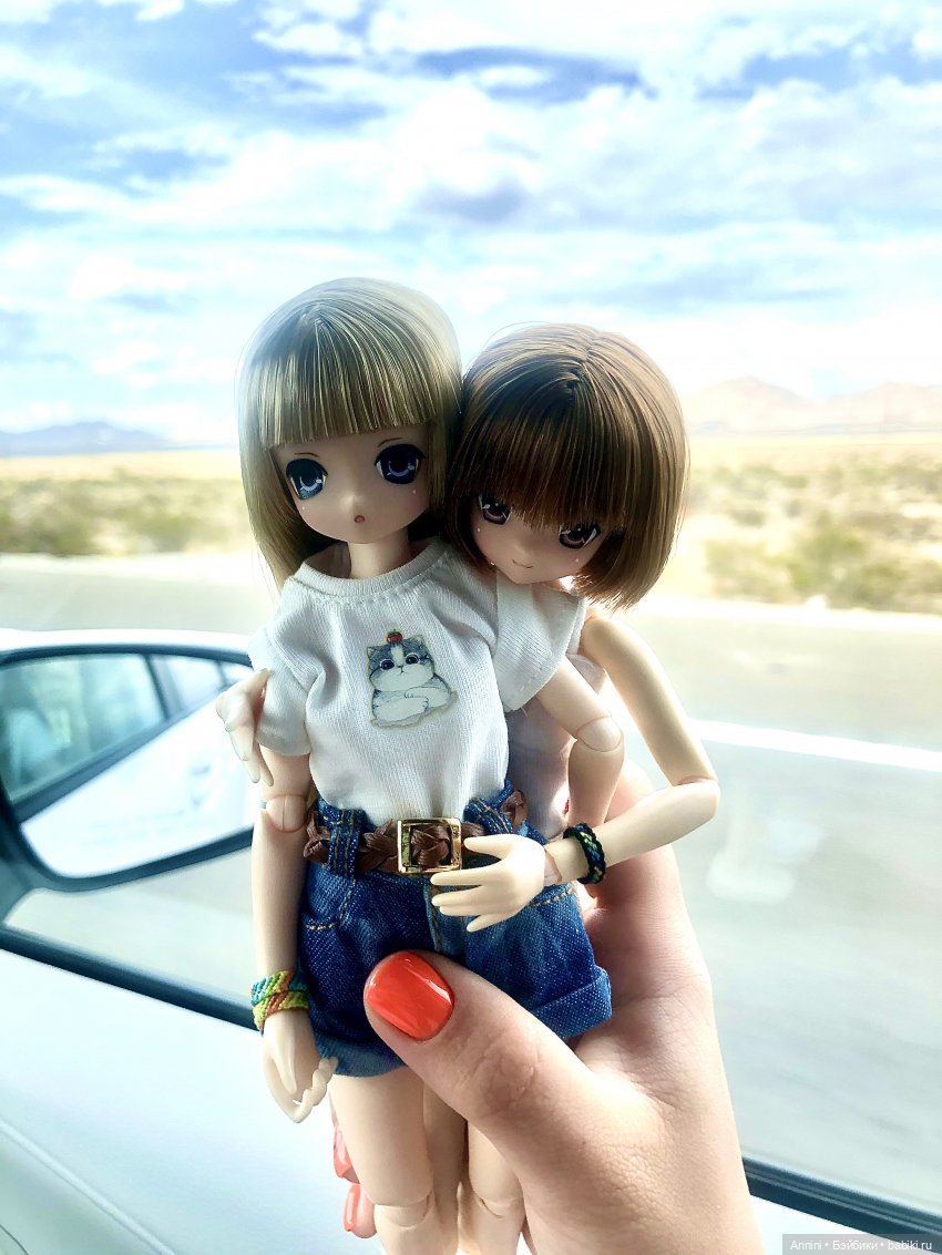 Путешествие азонок в США — Куклы Azone (Азон) и тела Pure Neemo: фото
