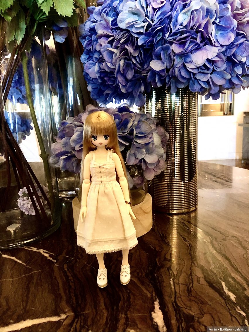 Путешествие азонок в США — Куклы Azone (Азон) и тела Pure Neemo: фото