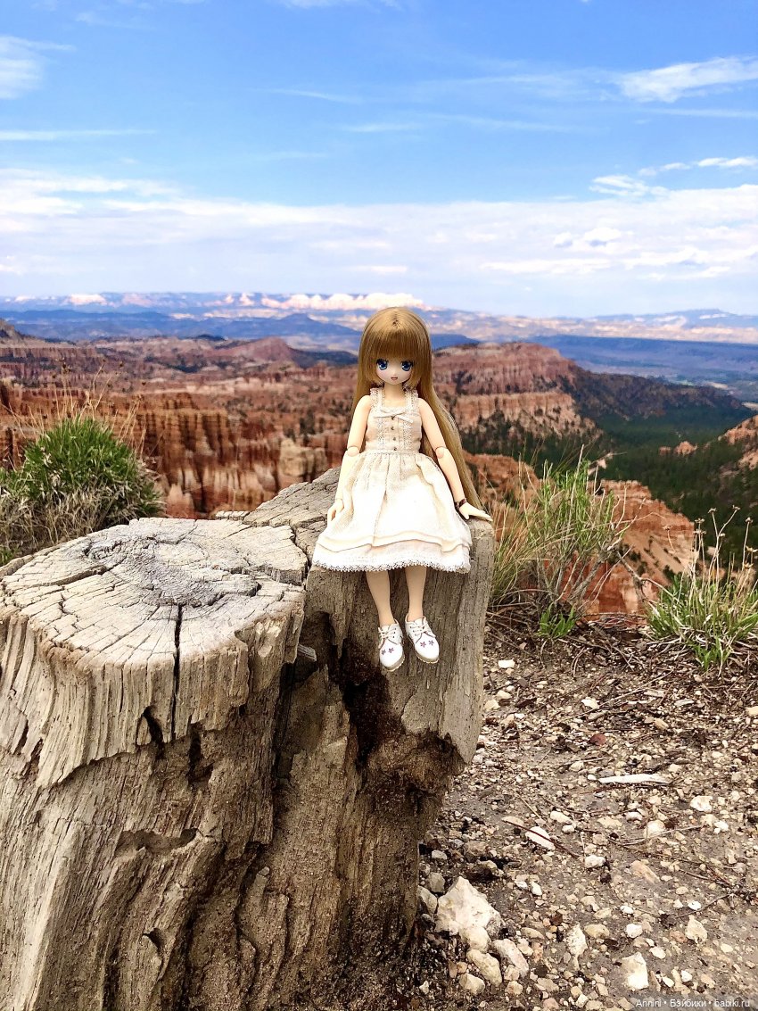 Путешествие азонок в США — Куклы Azone (Азон) и тела Pure Neemo: фото