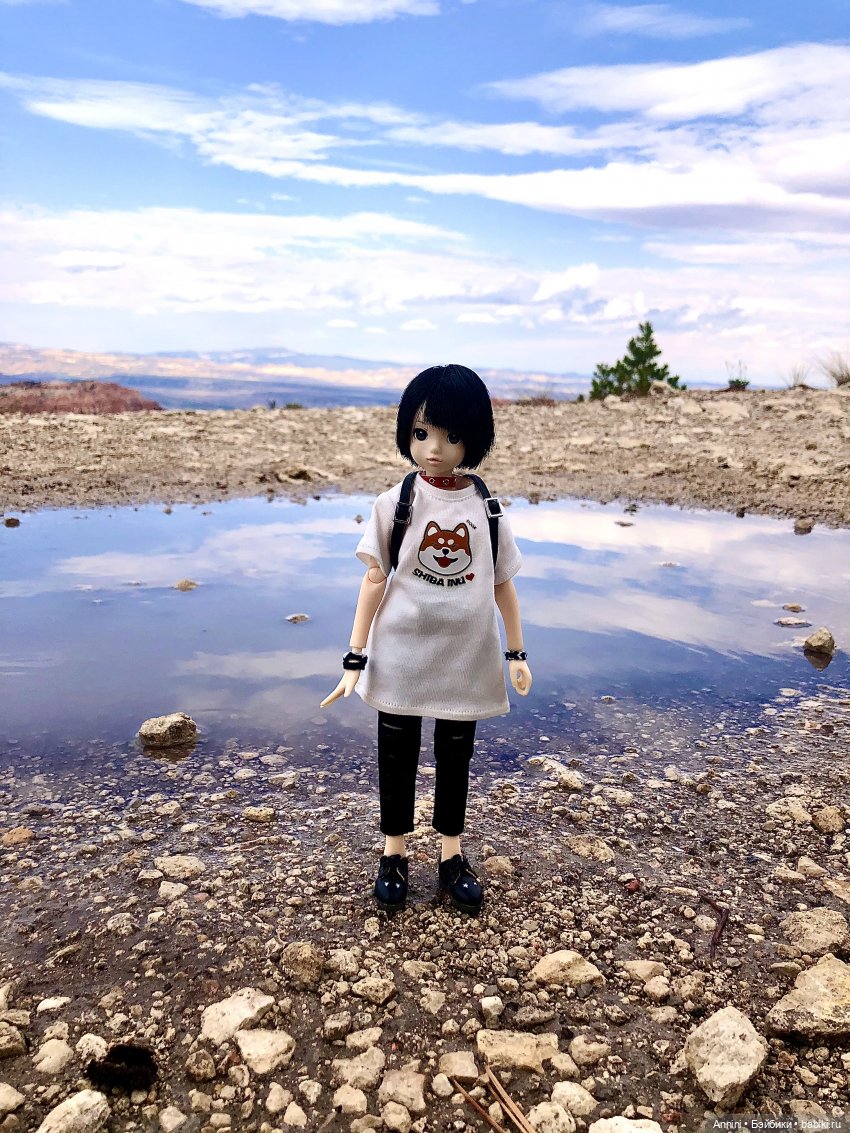 Путешествие азонок в США — Куклы Azone (Азон) и тела Pure Neemo: фото