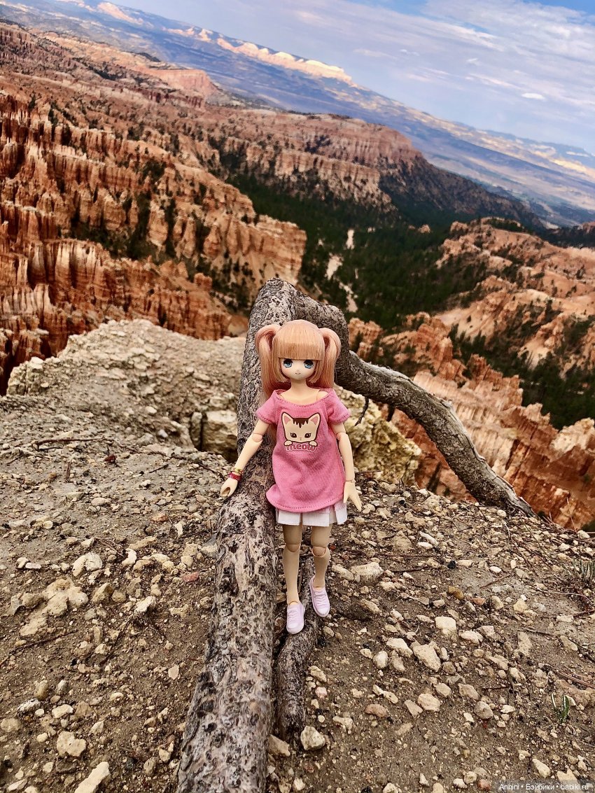 Путешествие азонок в США — Куклы Azone (Азон) и тела Pure Neemo: фото