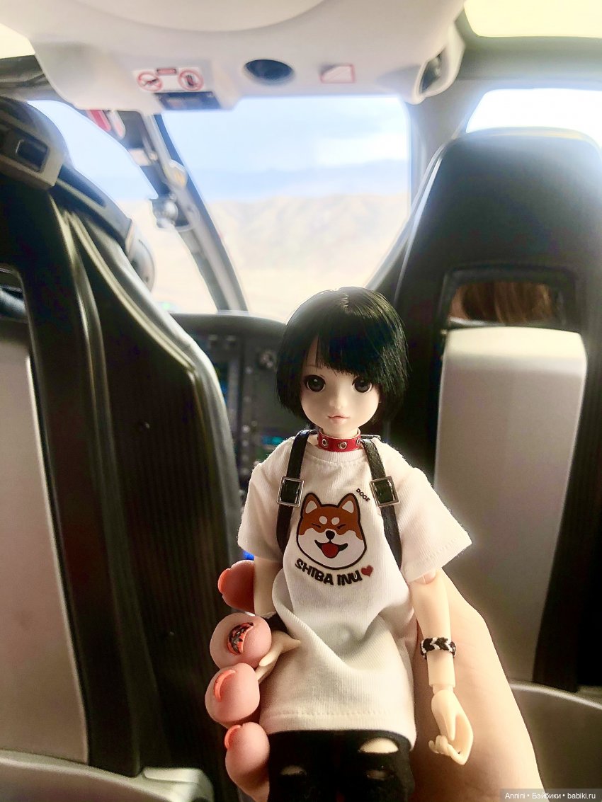 Путешествие азонок в США — Куклы Azone (Азон) и тела Pure Neemo: фото