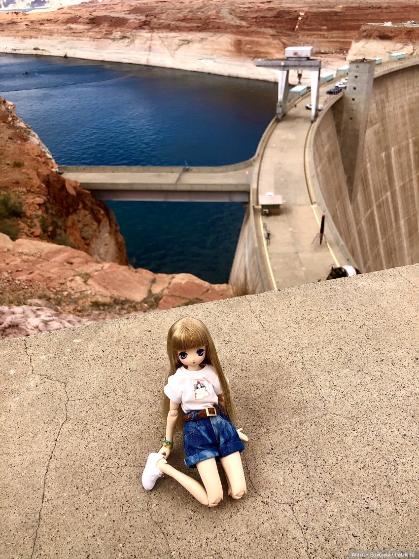 Путешествие азонок в США — Куклы Azone (Азон) и тела Pure Neemo: фото