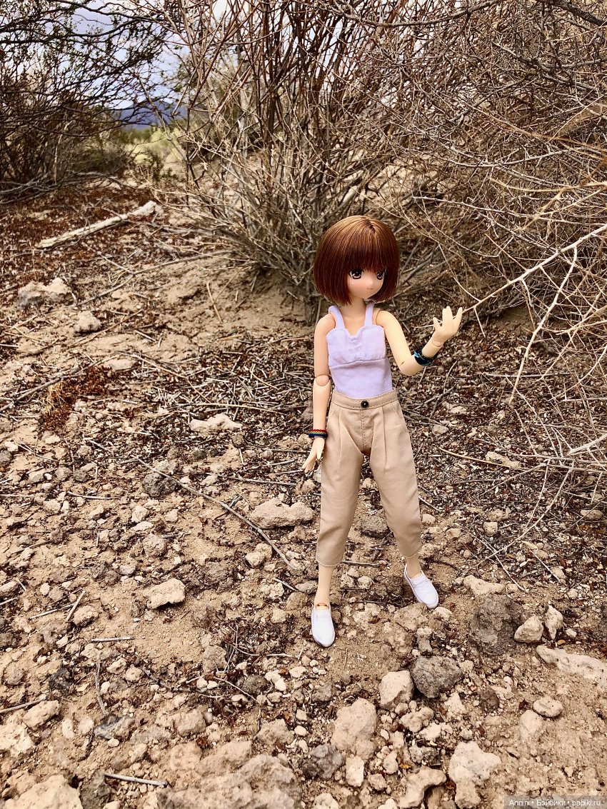 Путешествие азонок в США — Куклы Azone (Азон) и тела Pure Neemo: фото