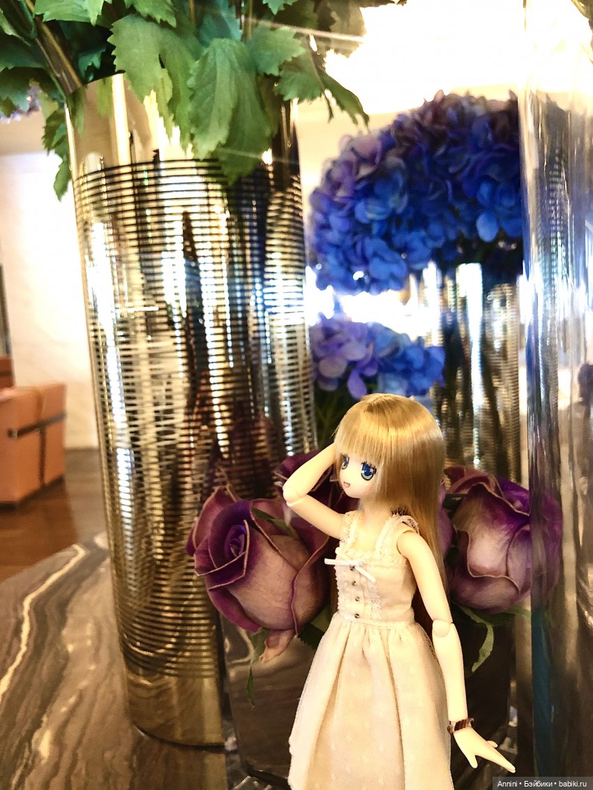 Путешествие азонок в США — Куклы Azone (Азон) и тела Pure Neemo: фото