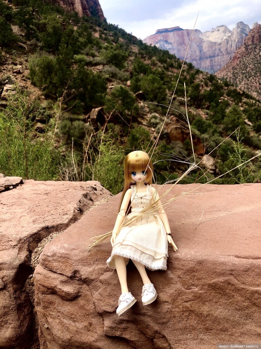Путешествие азонок в США — Куклы Azone (Азон) и тела Pure Neemo: фото