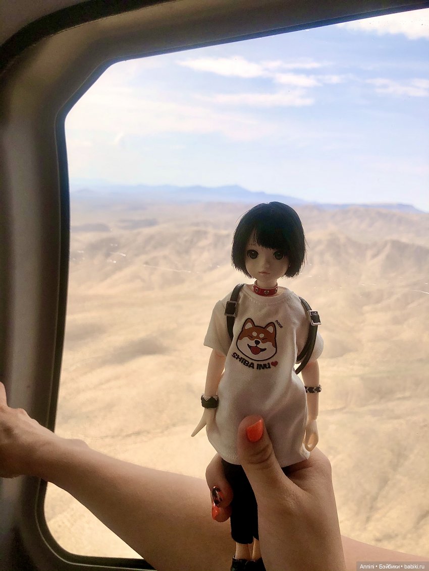Путешествие азонок в США — Куклы Azone (Азон) и тела Pure Neemo: фото