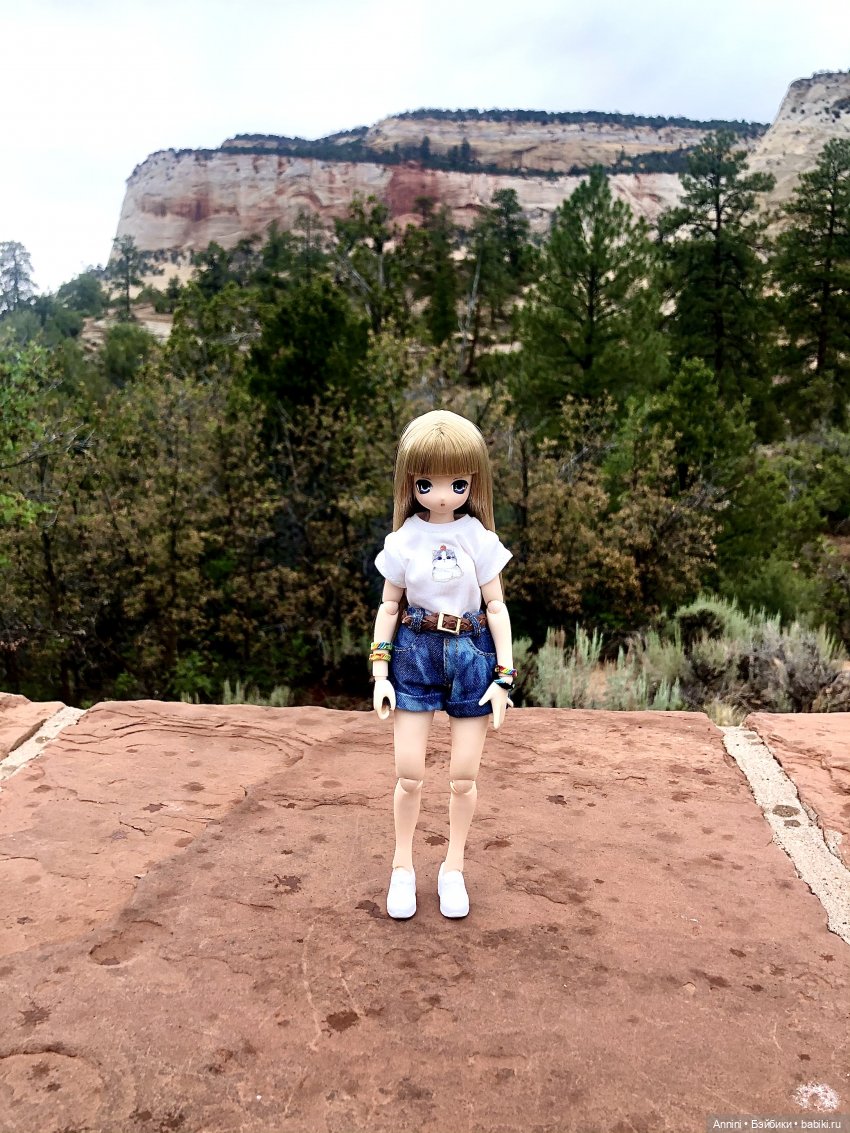 Путешествие азонок в США — Куклы Azone (Азон) и тела Pure Neemo: фото