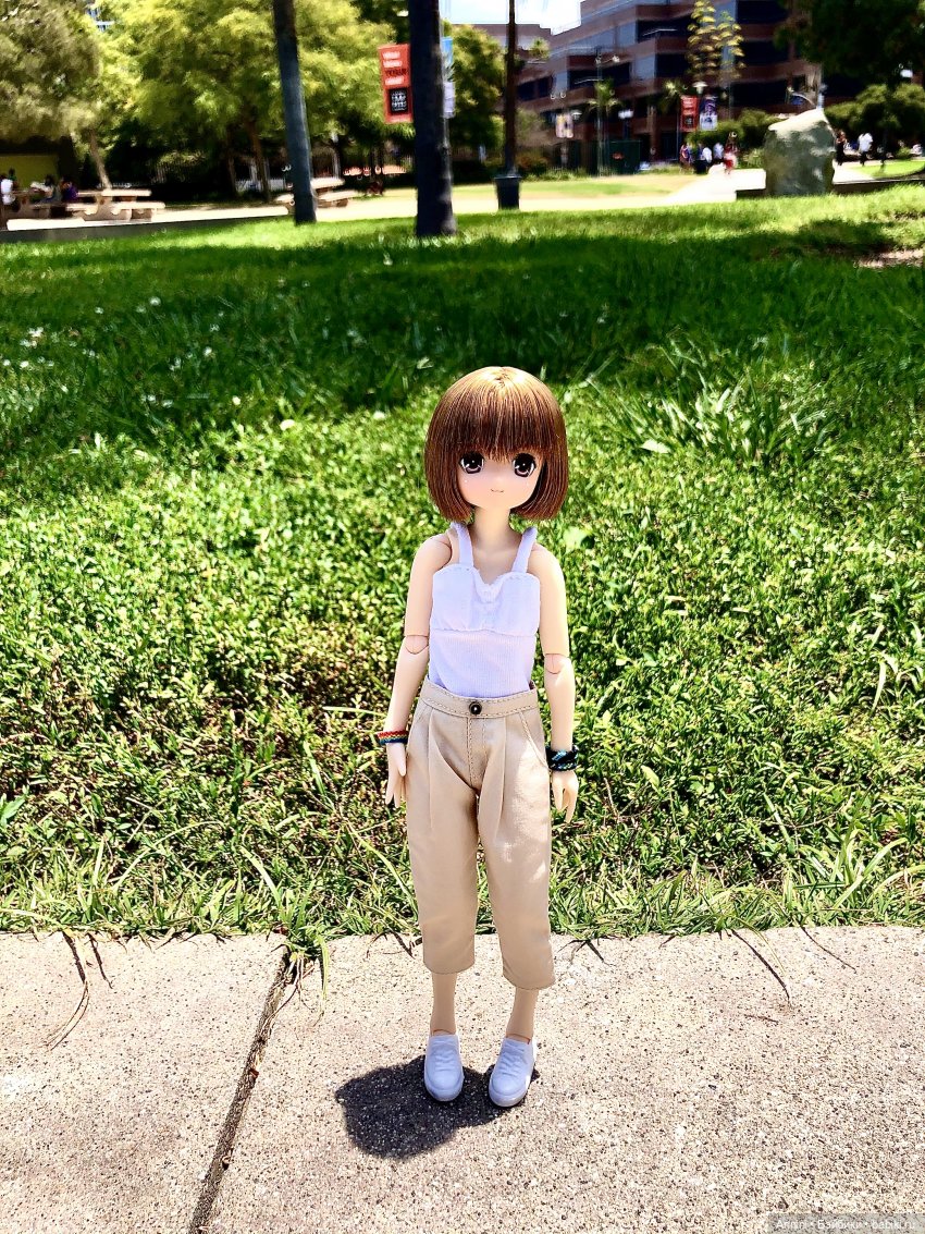 Путешествие азонок в США — Куклы Azone (Азон) и тела Pure Neemo: фото