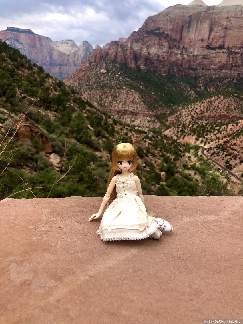 Путешествие азонок в США — Куклы Azone (Азон) и тела Pure Neemo: фото