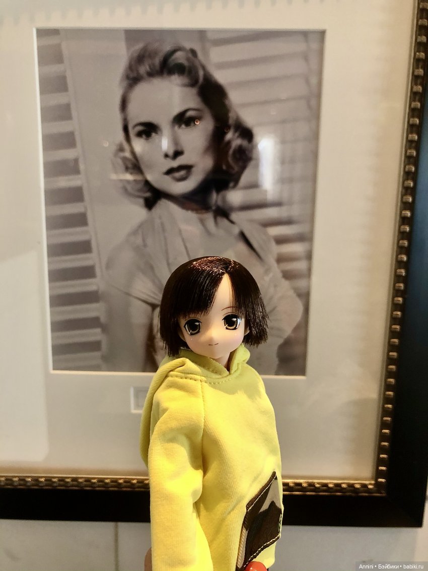 Путешествие азонок в США — Куклы Azone (Азон) и тела Pure Neemo: фото