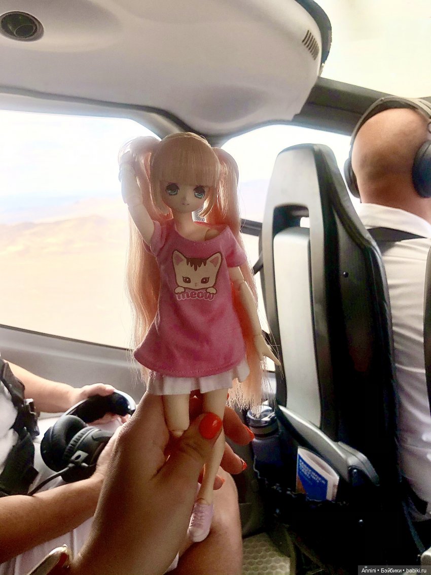 Путешествие азонок в США — Куклы Azone (Азон) и тела Pure Neemo: фото