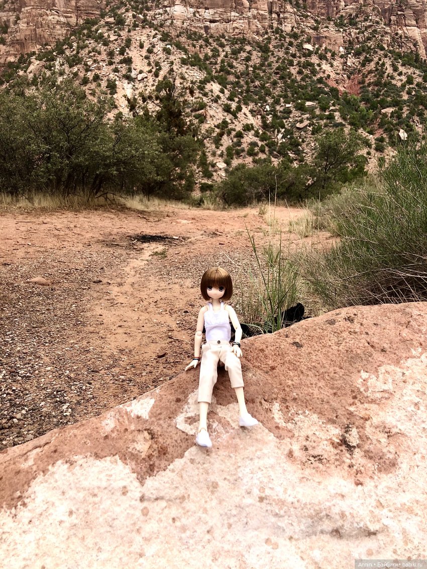Путешествие азонок в США — Куклы Azone (Азон) и тела Pure Neemo: фото