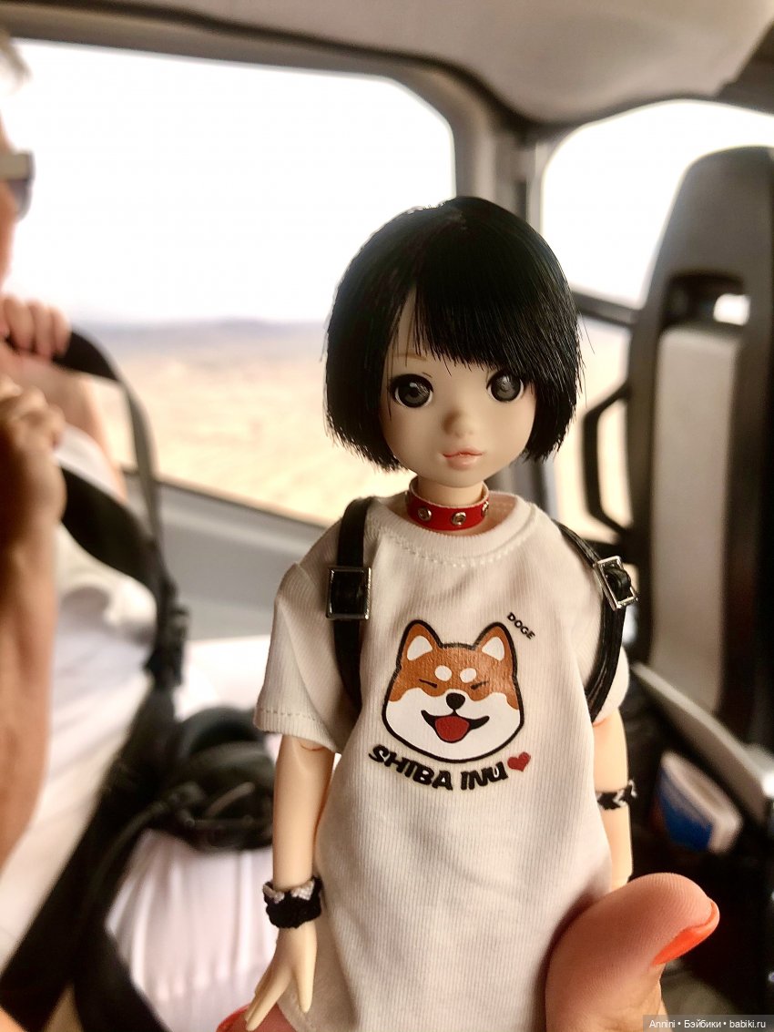 Путешествие азонок в США — Куклы Azone (Азон) и тела Pure Neemo: фото