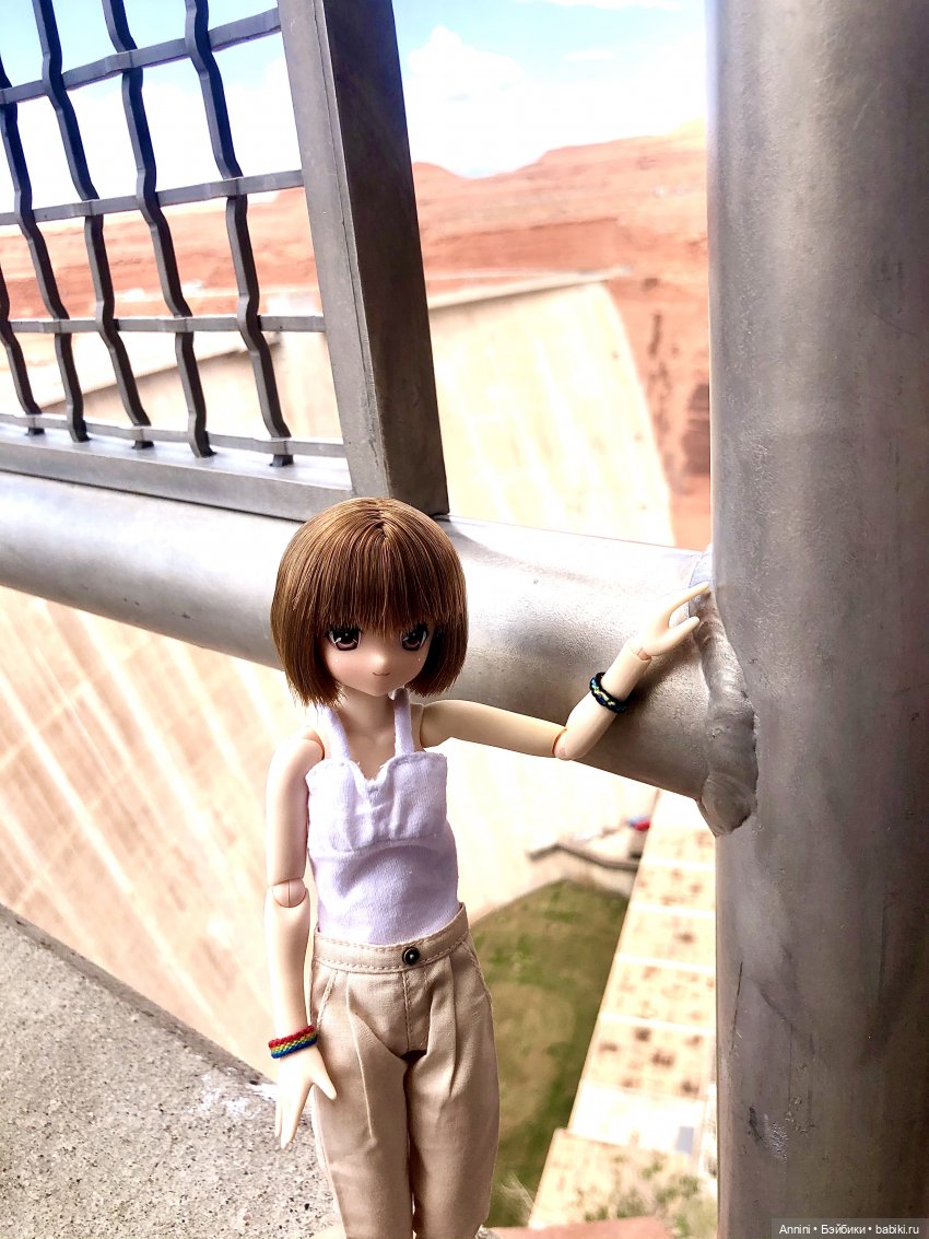 Путешествие азонок в США — Куклы Azone (Азон) и тела Pure Neemo: фото