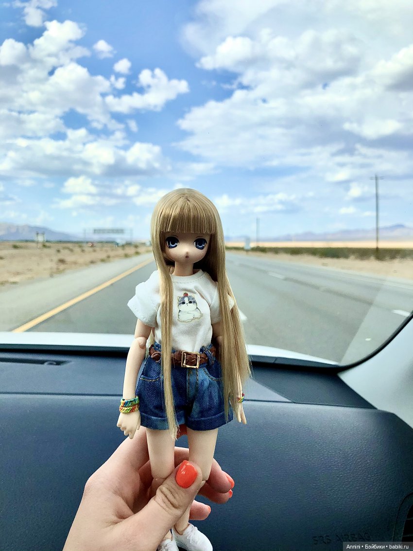 Путешествие азонок в США — Куклы Azone (Азон) и тела Pure Neemo: фото