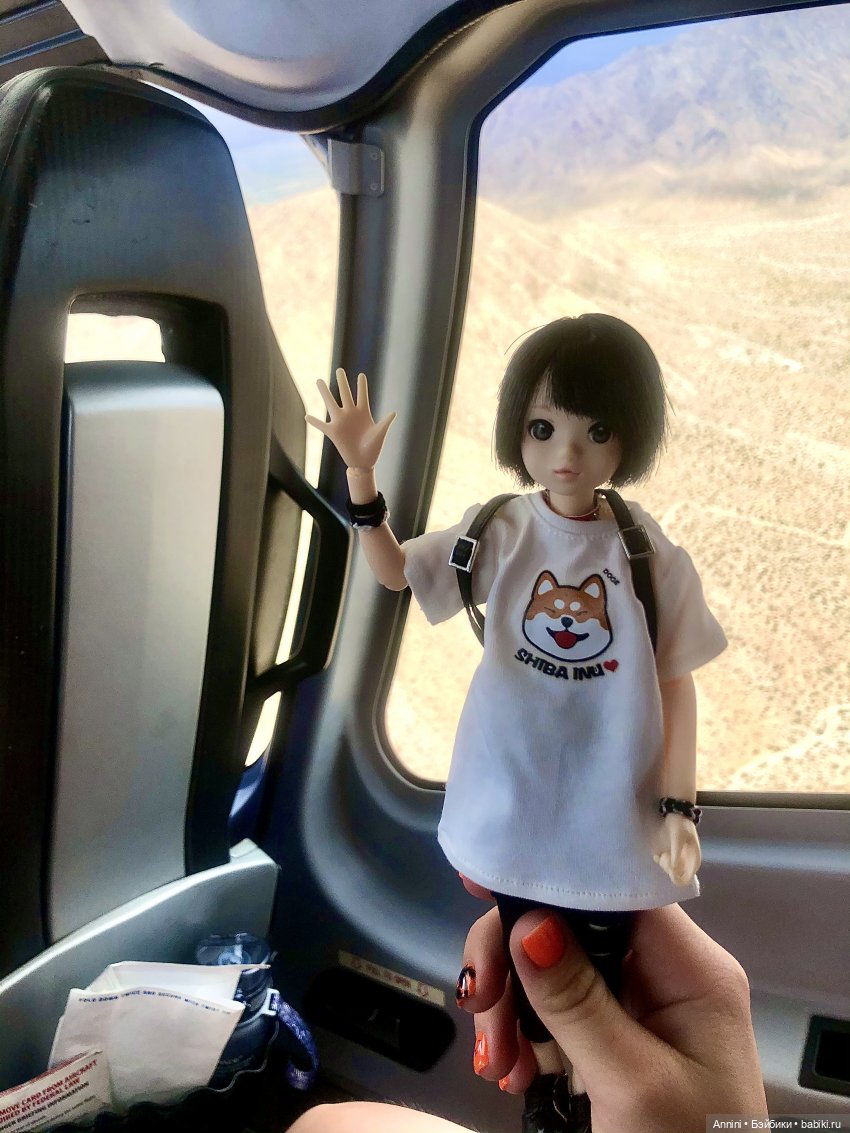 Путешествие азонок в США — Куклы Azone (Азон) и тела Pure Neemo: фото