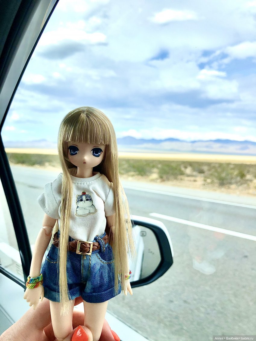 Путешествие азонок в США — Куклы Azone (Азон) и тела Pure Neemo: фото