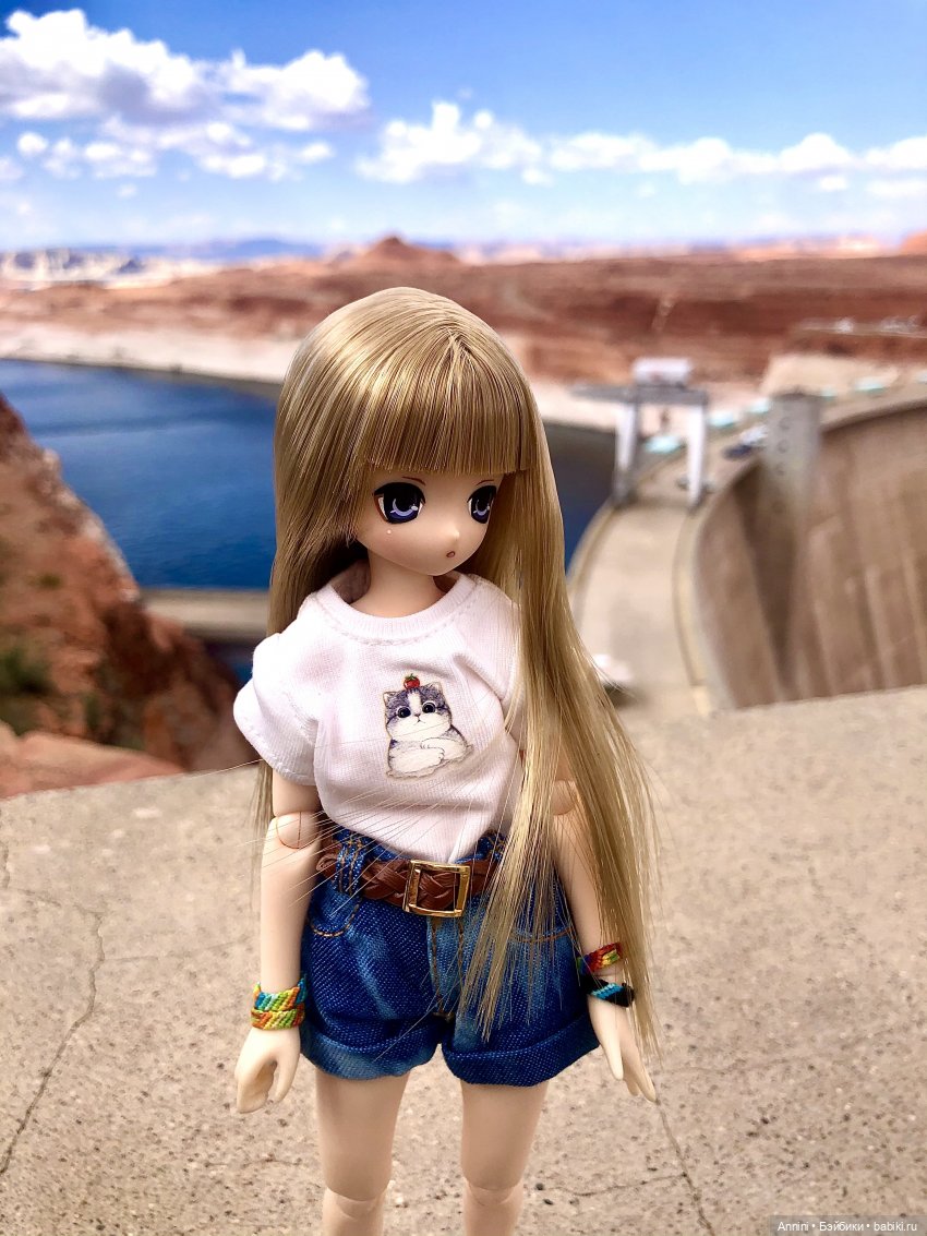 Путешествие азонок в США — Куклы Azone (Азон) и тела Pure Neemo: фото