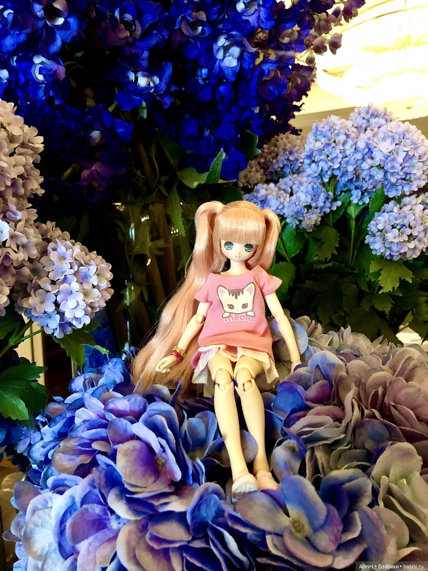 Путешествие азонок в США — Куклы Azone (Азон) и тела Pure Neemo: фото
