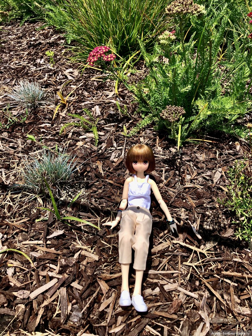 Путешествие азонок в США — Куклы Azone (Азон) и тела Pure Neemo: фото