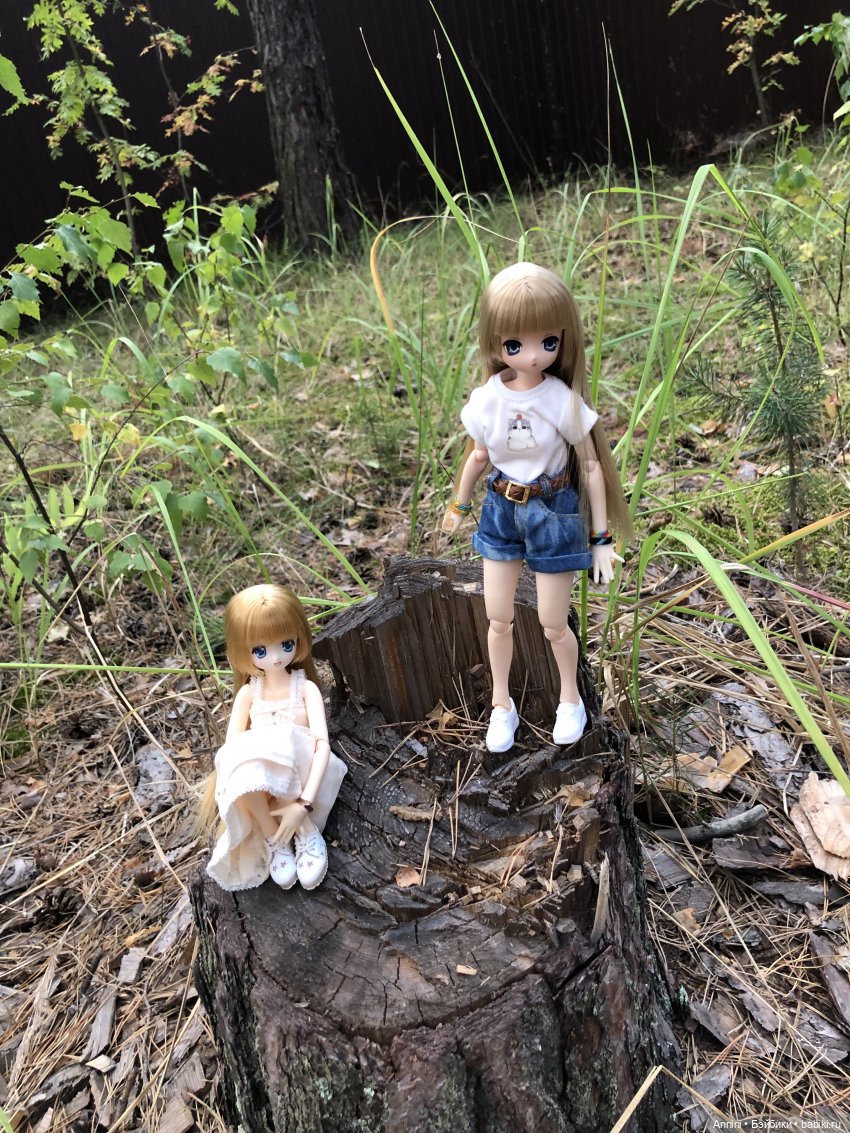 Азонкоистория, часть 1. Начало