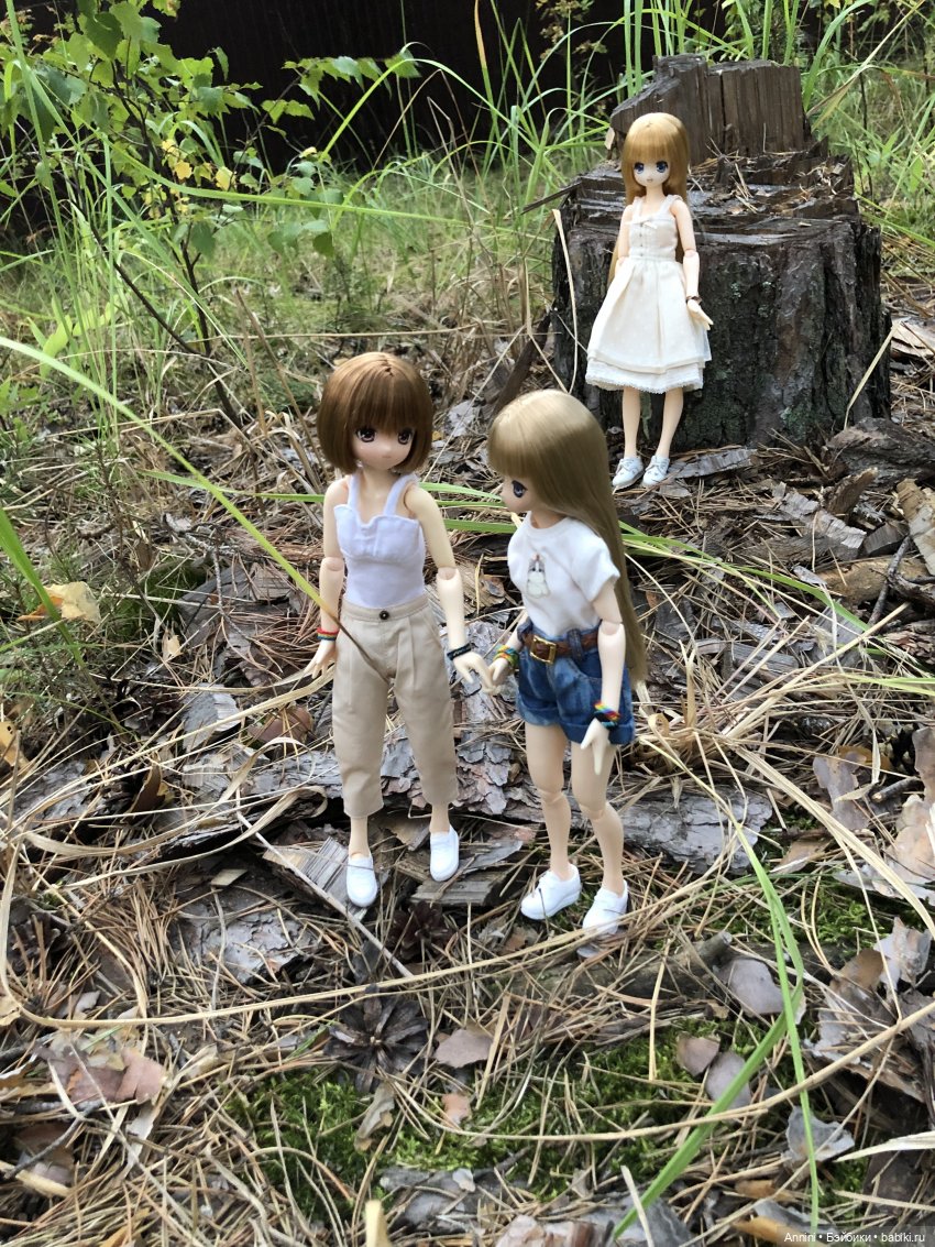 Азонкоистория, часть 1. Начало