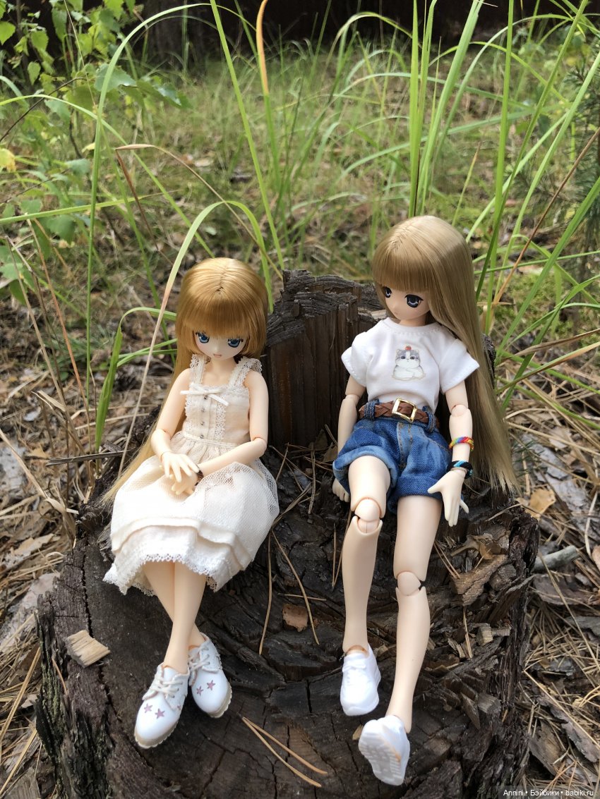 Азонкоистория, часть 1. Начало (фото 2)