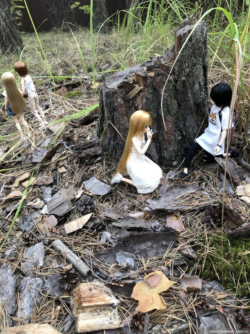 Азонкоистория, часть 1. Начало