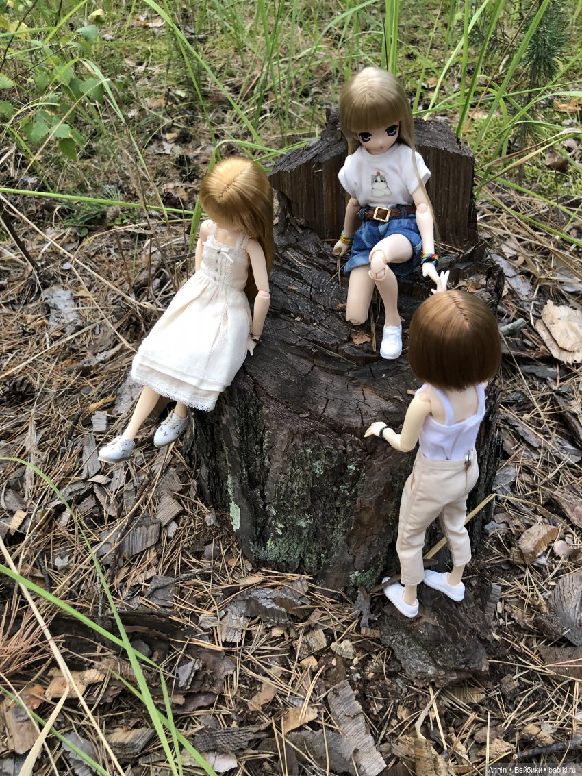 Азонкоистория, часть 1. Начало