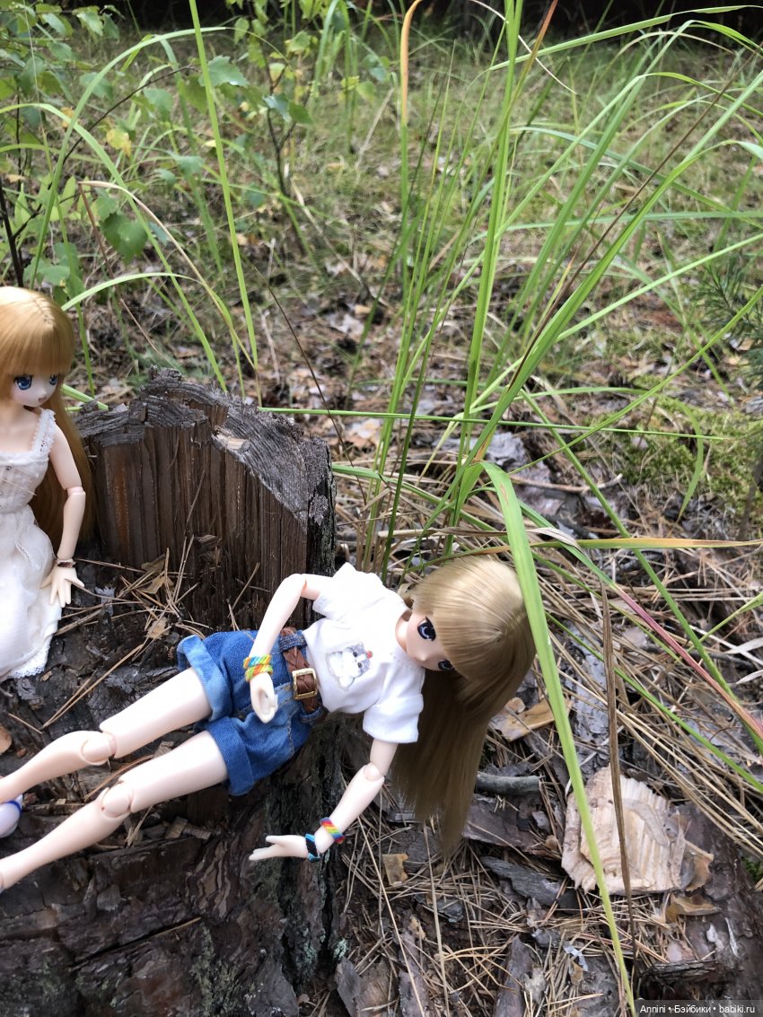 Азонкоистория, часть 1. Начало (фото 5)