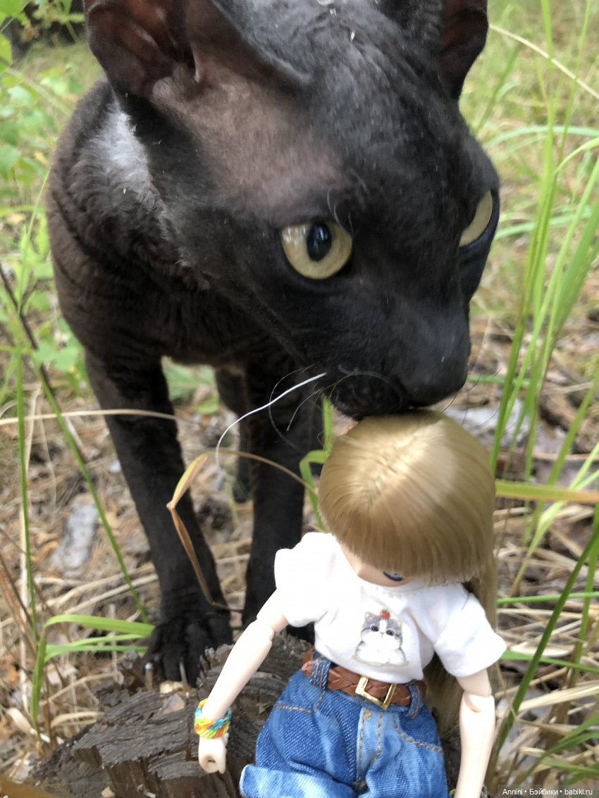 Азонкоистория, часть 1. Начало