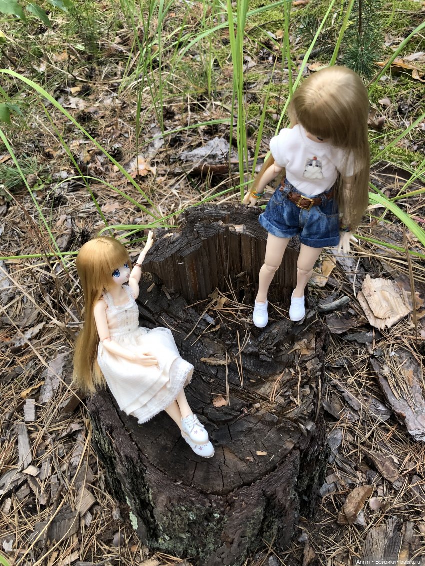 Азонкоистория, часть 1. Начало (фото 10)