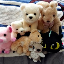 Мягкие игрушки