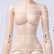 Женское тело Dollits D.K.D girl A body в нормале Женское тело Dollits D.K.D girl A body в нормале