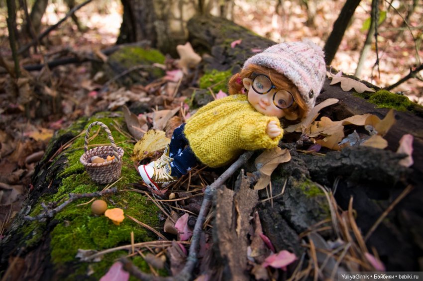 А тем временем в Гномодоме