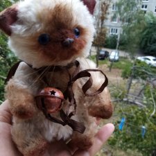 Ах эти синеглазые кошки