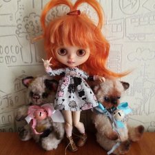 Алиса и её кошки