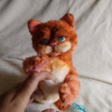 Кто ты? Котенок Филя