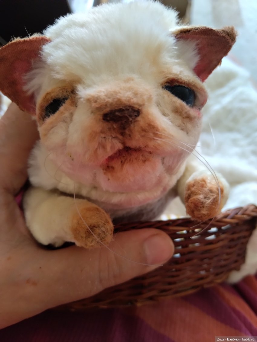 Здравствуй, мир! Я пришёл (фото 2)