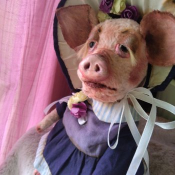 Мадам Жоржетта