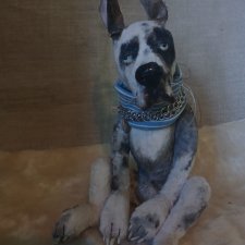 Капитан Рекс