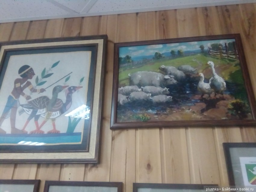 Джой и лето. Путешествие в Гуселетово. Музей гуся