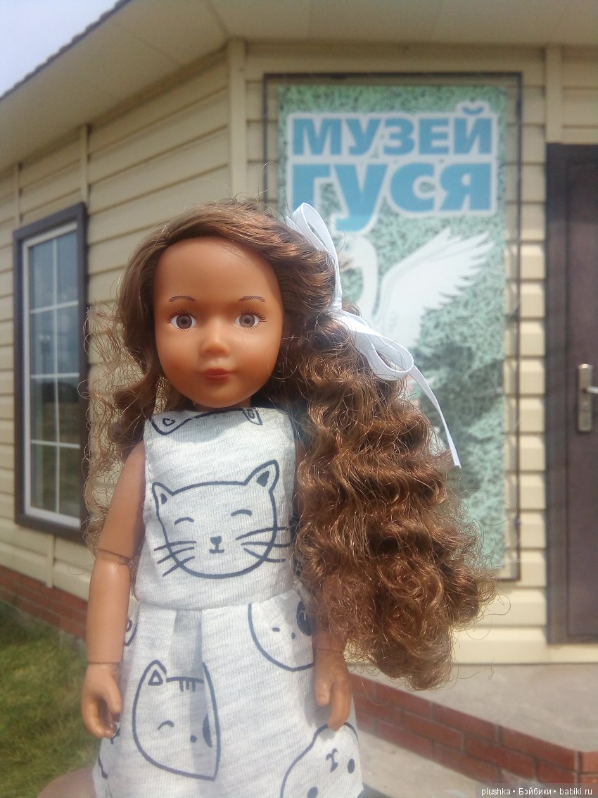 Джой и лето. Путешествие в Гуселетово. Музей гуся