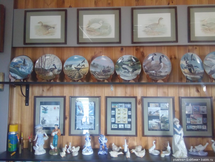 Джой и лето. Путешествие в Гуселетово. Музей гуся