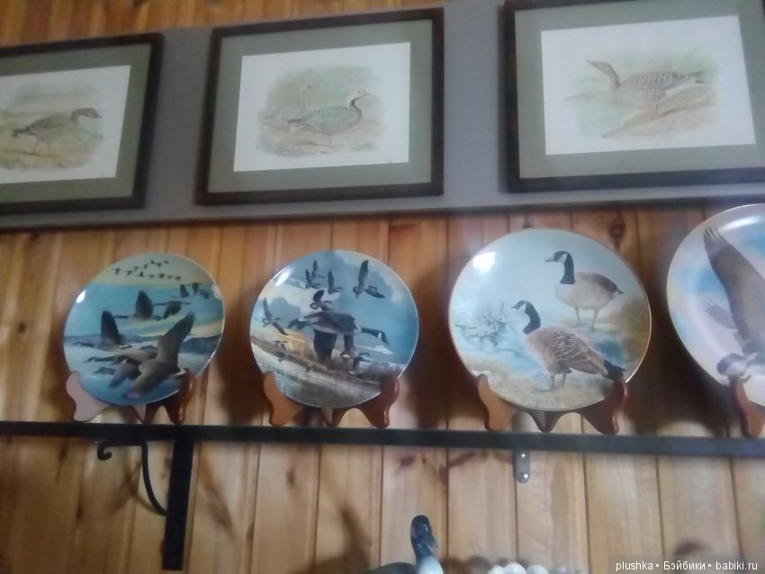 Джой и лето. Путешествие в Гуселетово. Музей гуся