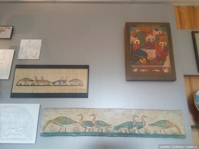 Джой и лето. Путешествие в Гуселетово. Музей гуся