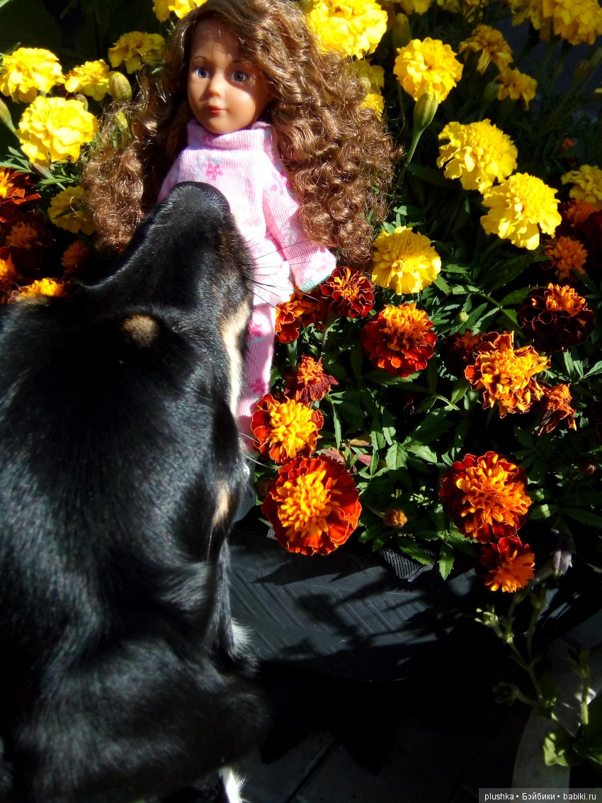 Джой на даче в обновках — Куклы Kathe Kruse (Кате/Кэте Крузе): фото